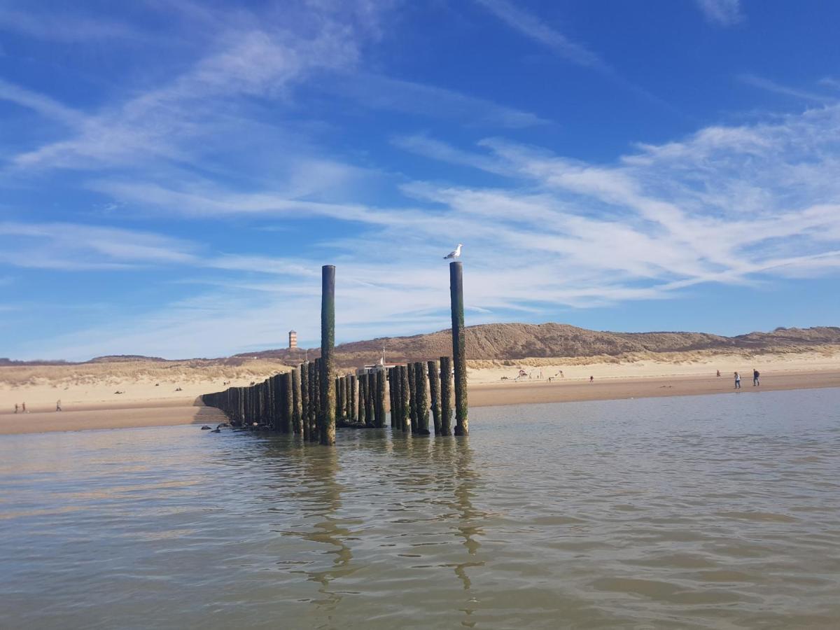 Vakantiewoning "Aan Het Bosje" Zoutelande - Strand 200M ! Eksteriør bilde